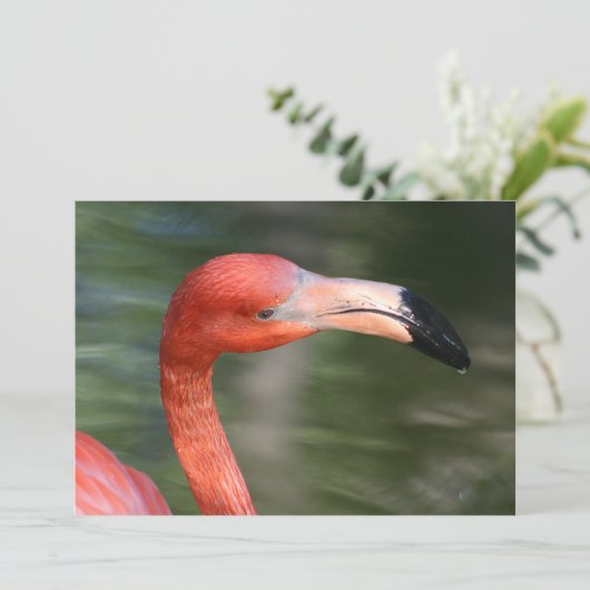 Pink-Orange Flamingo Head (Standing Front)