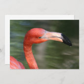 Pink-Orange Flamingo Head (Front/Back)