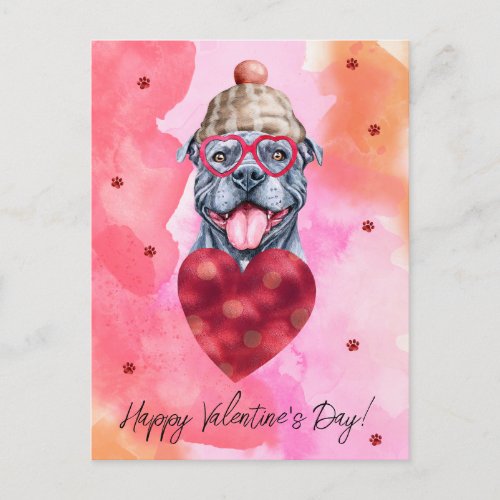 Pink Orange Gray Pitbull Valentines Day Gift Dog Holiday Postcard