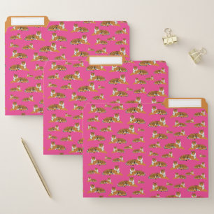 Pink Orange Jungle Tiger Animal Pattern School File Folder