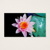 Pink & Orange Lotus (Back)