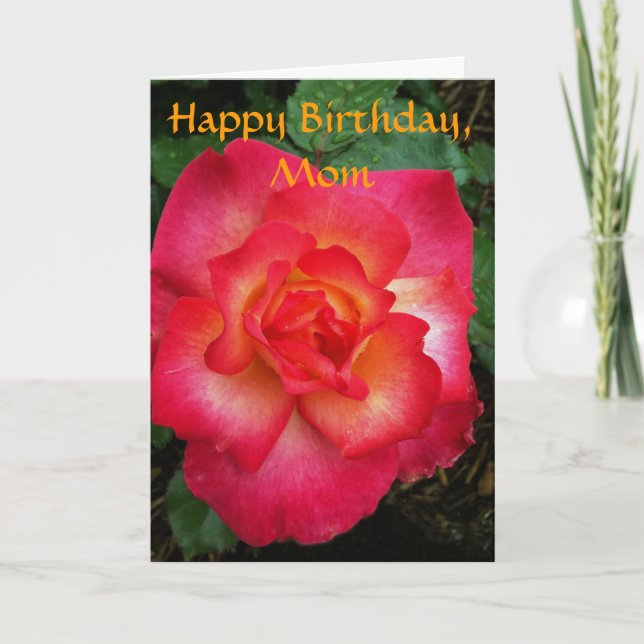 Pink/Orange Rose Card (Front)