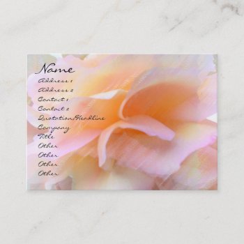 Pink & Orange Rose Pastel Profile Card by profilesincolor at Zazzle