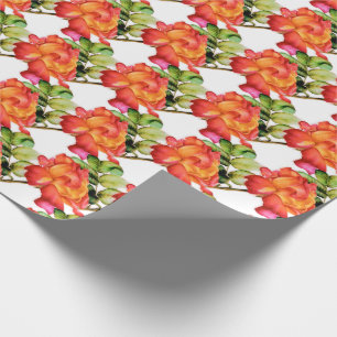 Pink orange striped tea rose watercolor patterned wrapping paper