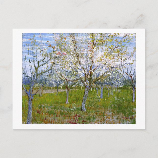 Pink Orchard (F555) Van Gogh Fine Art Postcard (Front)