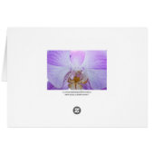 Pink Orchid (Back Horizontal)