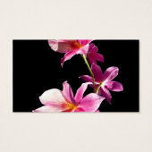 Pink Orchid. (Back)