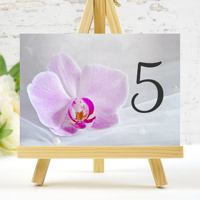 Pink Orchid and Bridal Veil Wedding Table Numbers (Creator Uploaded)
