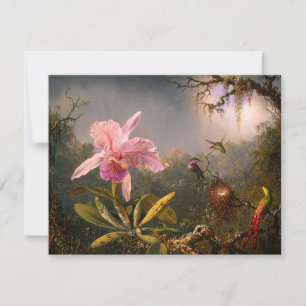 Pink Orchid and Three Hummingbirds Invitations