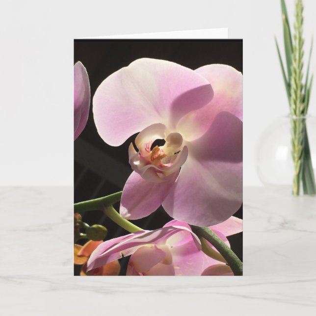 Pink Orchid Blank Inside Card (Front)