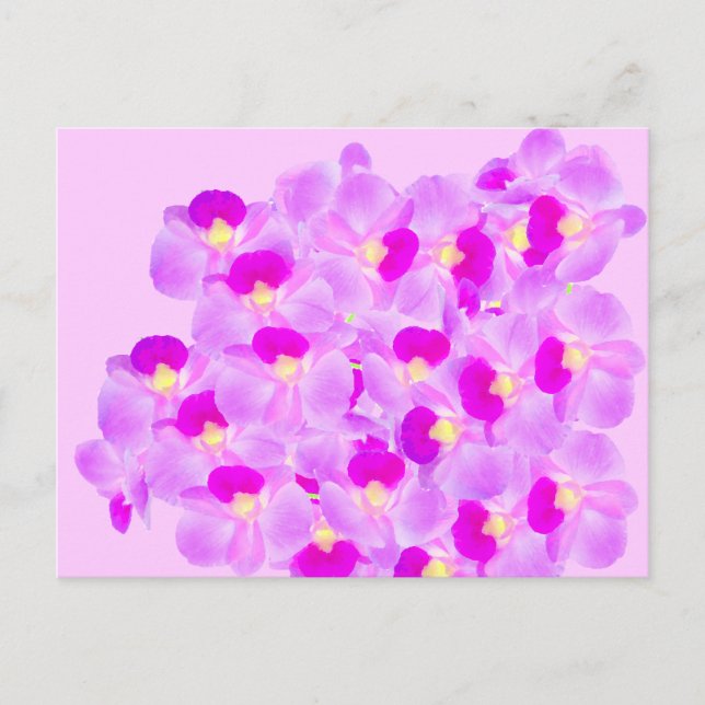 Pink Orchid Bouquet Postcard (Front)