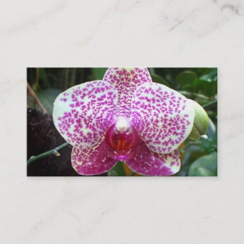 Pink Orchid Business Cards
