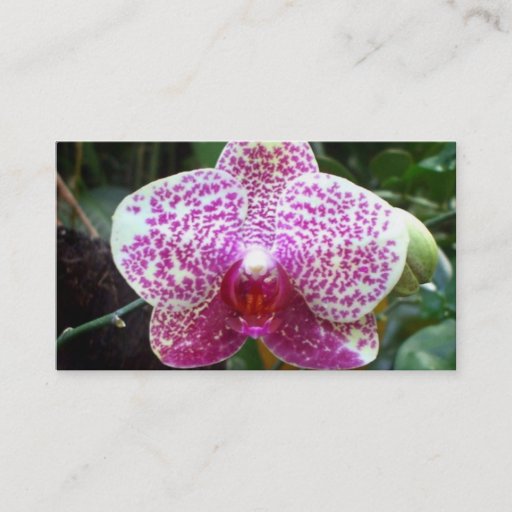 Customizable Pink Orchid Business Cards