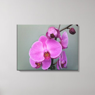 PINK ORCHID canvas