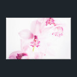 Pink orchid canvas print<br><div class="desc">Beautiful photo of the pink orchid</div>