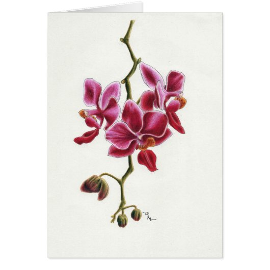 Pink Orchid Card (Front)
