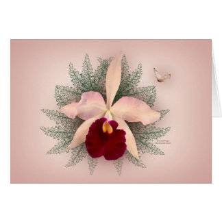 Pink Orchid Cards