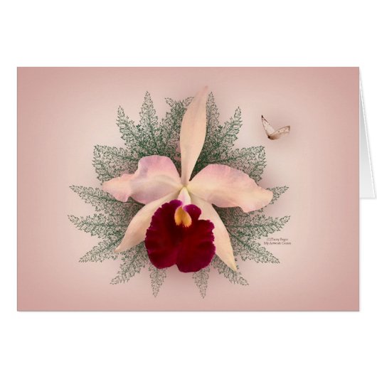 Pink Orchid Cards (Front Horizontal)