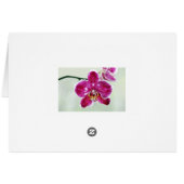 Pink Orchid Cards (Back Horizontal)