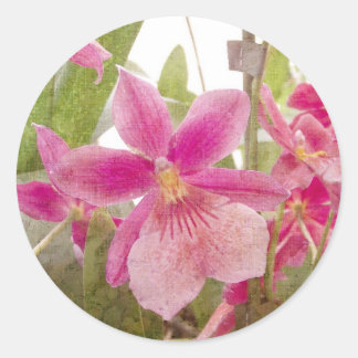 Pink Orchid Classic Round Sticker