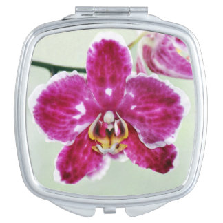Pink Orchid Compact Mirror