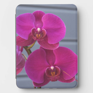 Pink Orchid — Elegant Floral Kindle Cover