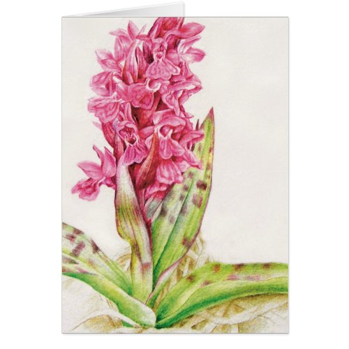 Pink orchid floral fine art painted everyday card