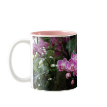 Pink Orchid Floral Photography