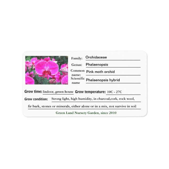 Pink orchid flower garden labels. label (Front)
