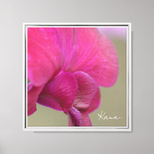 Pink Orchid Flower Kauai (photography taken by me) Canvas Print