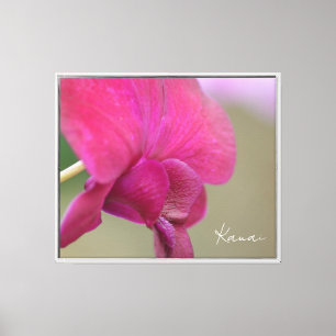 Pink Orchid Flower Kauai (photography taken by me) Canvas Print