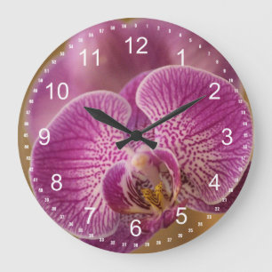 Pink Orchid Flower Large Clock