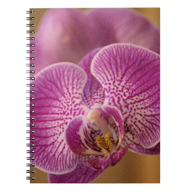 Pink Orchid Flower Notebook (Front)