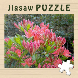 Pink Orchid Flowers blooming aesthetic Photo - Jigsaw Puzzle