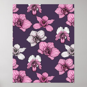 Pink orchid flowers poster