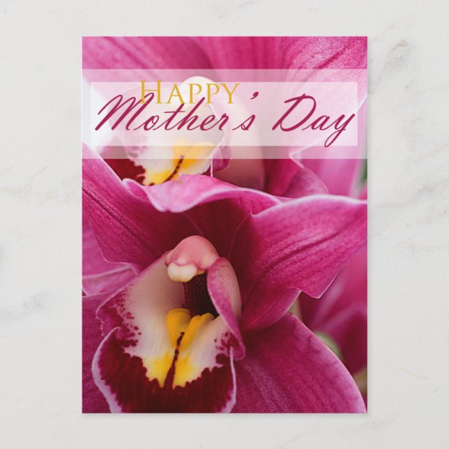 Pink Orchid for Mothers Day Postcard (Front)
