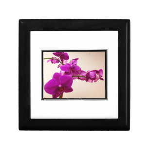 Pink orchid gift box