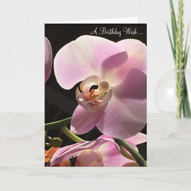 Pink Orchid Happy Birthday Card (Front)