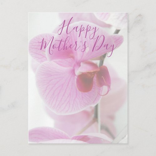 Pink Orchid  Happy Mothers Day Postcard