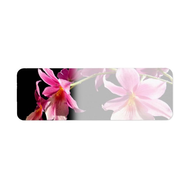 Pink Orchid. Label (Front)