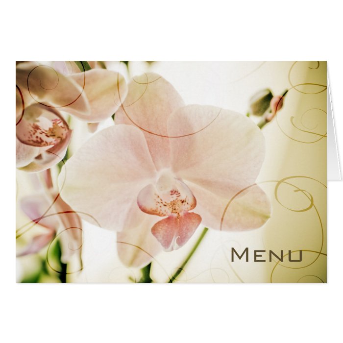 Pink Orchid • Menu Card