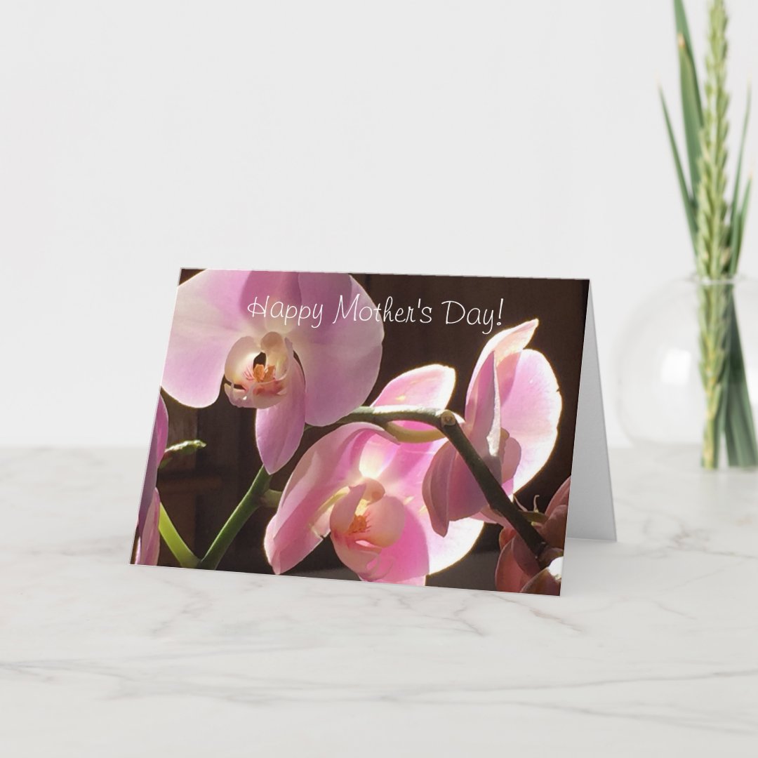 Pink Orchid Mothers Day Card Zazzle