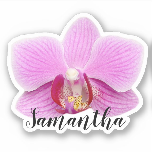 Pink Orchid Name Sticker (Front)