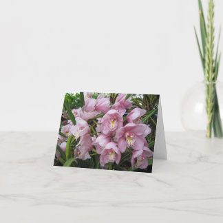 Pink Orchid Note Card