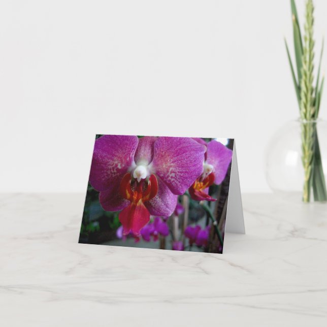 Pink Orchid Notecard (Front)