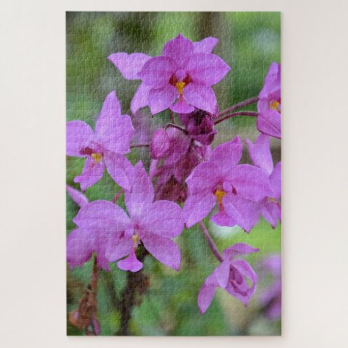 Pink orchid of Costa Rica Jigsaw Puzzle