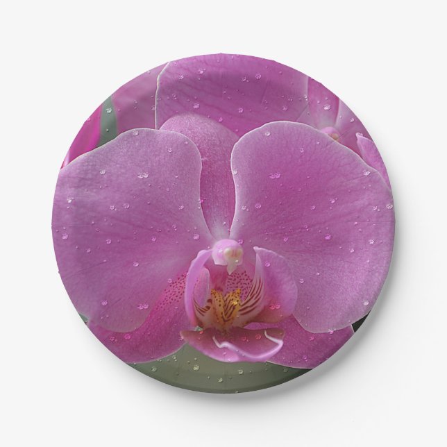 Pink Orchid paper Plate (Front)