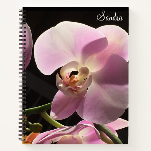 Pink Orchid Personalized Spiral Notebook
