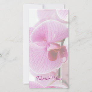 Pink Orchid Sympathy / Memorial Thank You Card