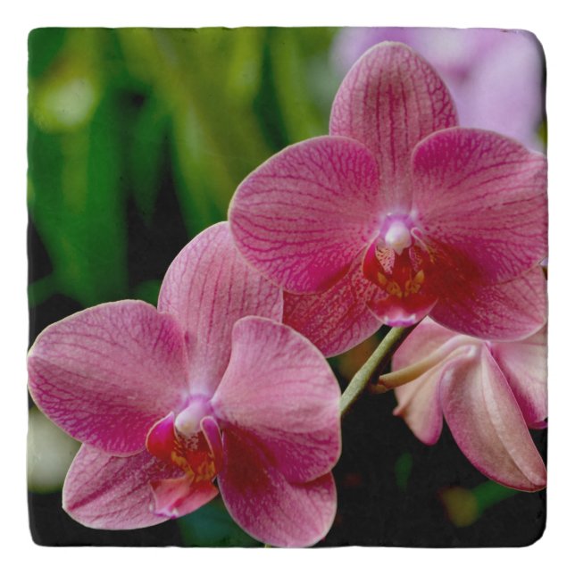 Pink Orchid Trivet (Front)